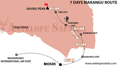 7 Days Marangu Route