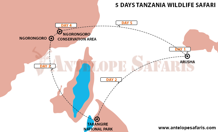 6 Days Tanzania Honeymoon Safari