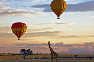 4 Days Hot Air Balloon Safari