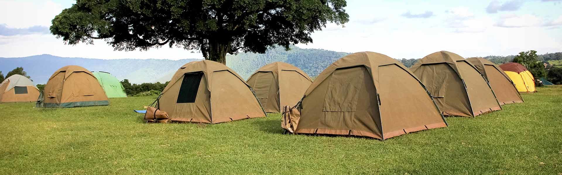 Kilimanjaro Tents & Camps