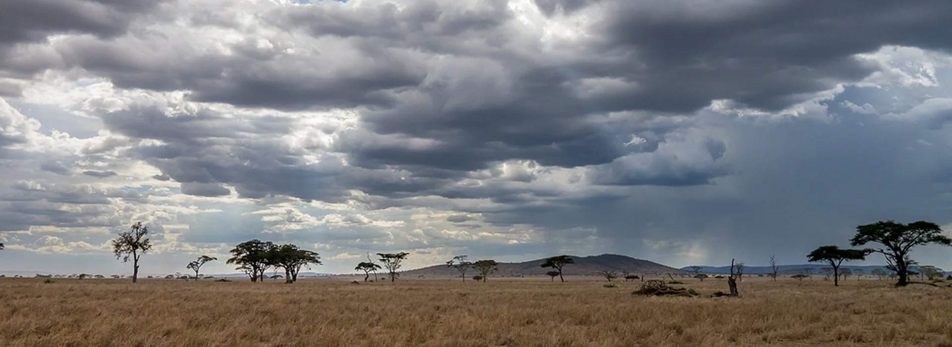 Tanzania Weather & Climate
