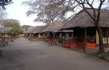Selous Mbuyu Camp