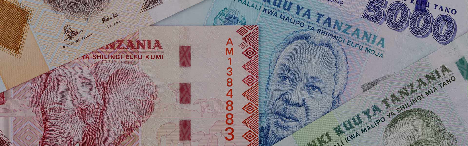 Tanzania Currency