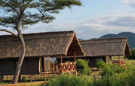 Tarangire Simba Lodge