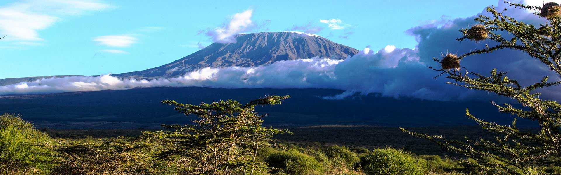 Kilimanjaro Population