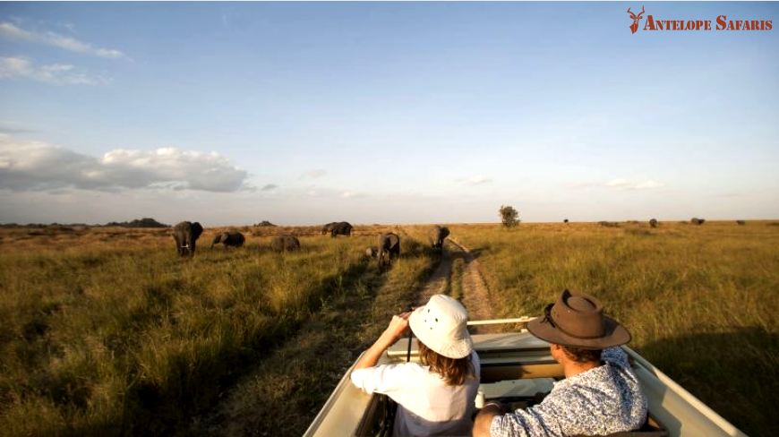 visitors enjoying safari