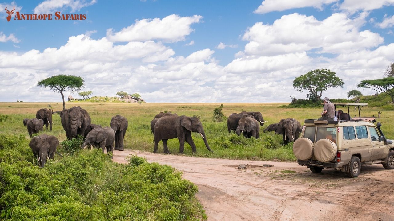 Tanzania Adventure Safari
