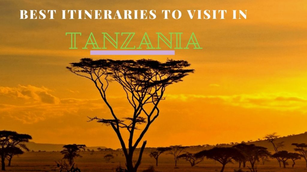 Tanzania Safaris itineraries