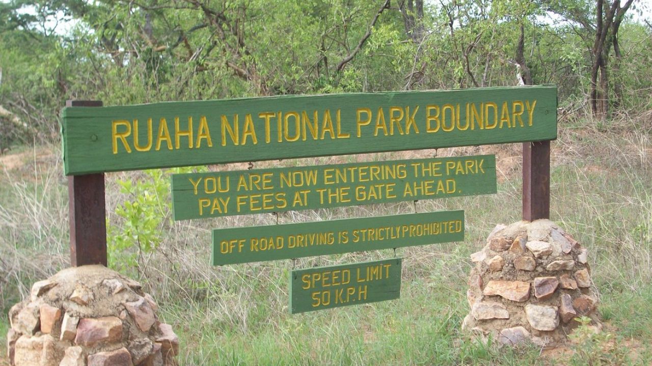 Ruaha National Park: